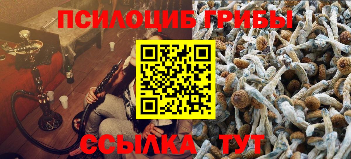 Псилоцибиновые грибы Magic Shrooms  Псилоцибиновые грибы мицелий  Вход с VPN  Михайловка 